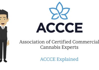 ACCCE Explained