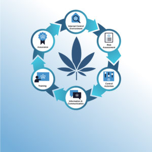 Cannabis Risk Management Framework icon
