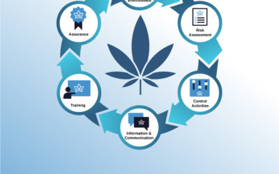 Community Discussion – Cannabis Risk Management Framework: Introduction to Risk Culture