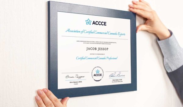 ACCCE CCCP Certificate framed mockup